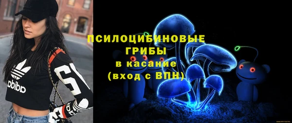 сатива Балабаново