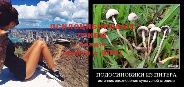 каннабис Баксан
