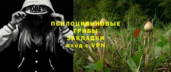 трава Балахна